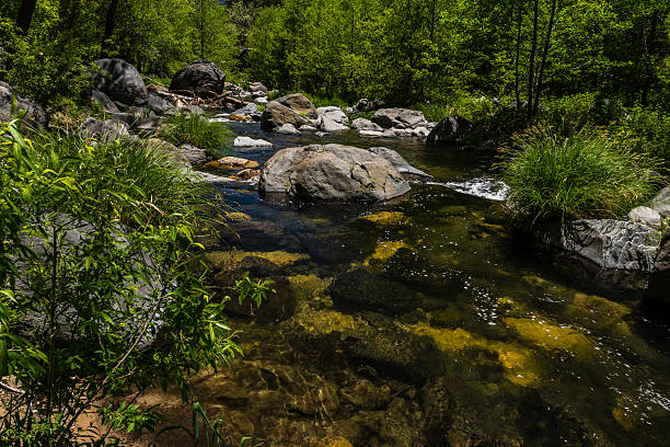 istock Wind, Water, Red Earth and Sedona 530507362