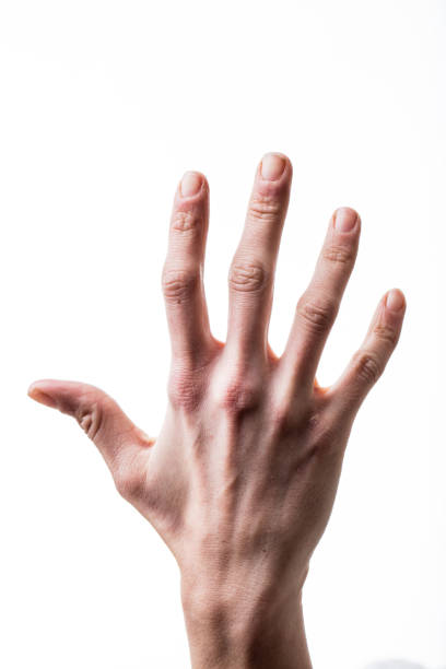 istock open hand showing five gaunt fingers 530507664