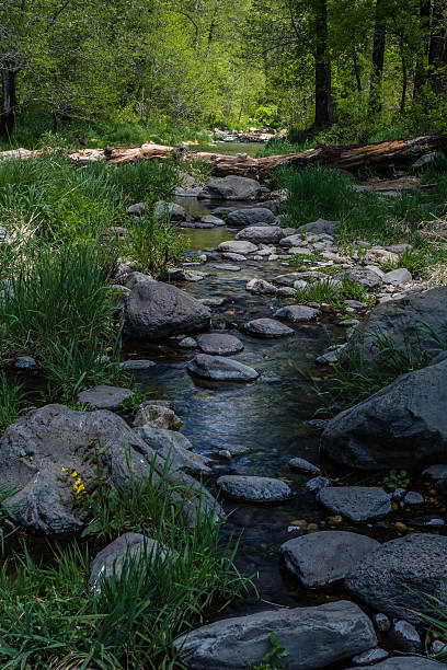 Wind, Water, Red Earth and Sedona