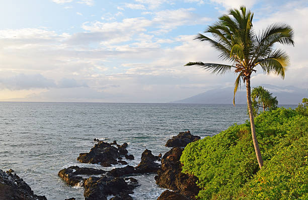 istock Wailea Point, Maui 530508291