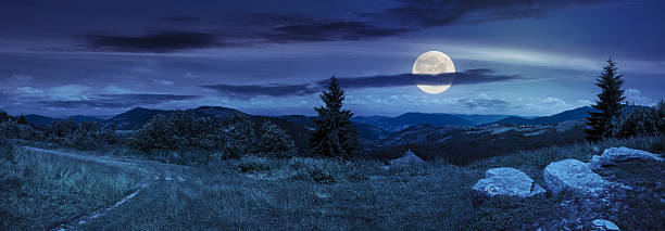 istock boulders on hillside meadow in mountain at night 530509333