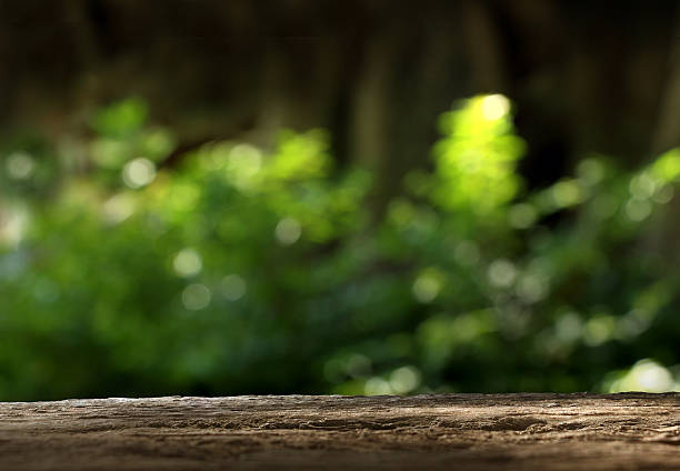 istock Wood table top on blurred green background 530510408