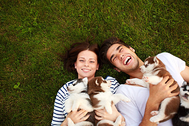 What Is A Dog Play Date what-is-a-dog-play-date