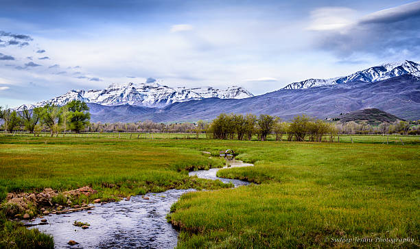 Lush Fields and Snow Capped Mountains stock photo