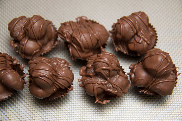 istock chocolate macadamia nut fudge against background. 530512624