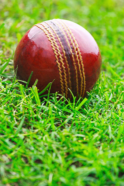 istock Close up of red cricket ball on short grass 530512732