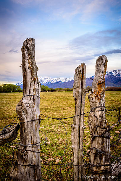 Wooden Fence in the Field stock photo