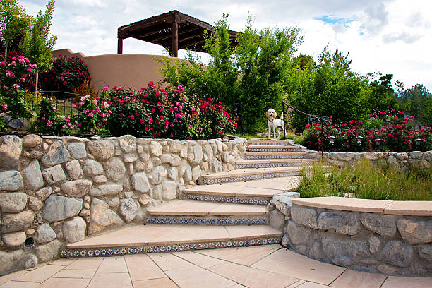 White Standard Poodle in Rose Garden