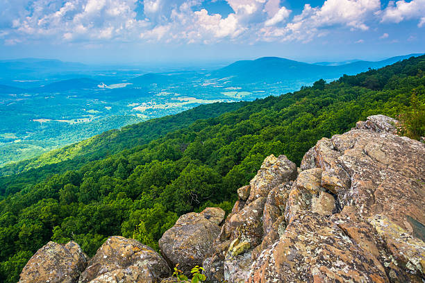 istock View from South Marshall, along the Appalachian Trail in Shenand 530516289