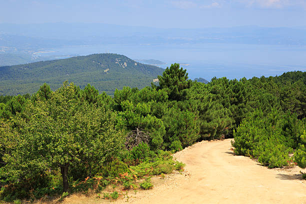 istock Beautiful dirt road in the mountains. 530517105