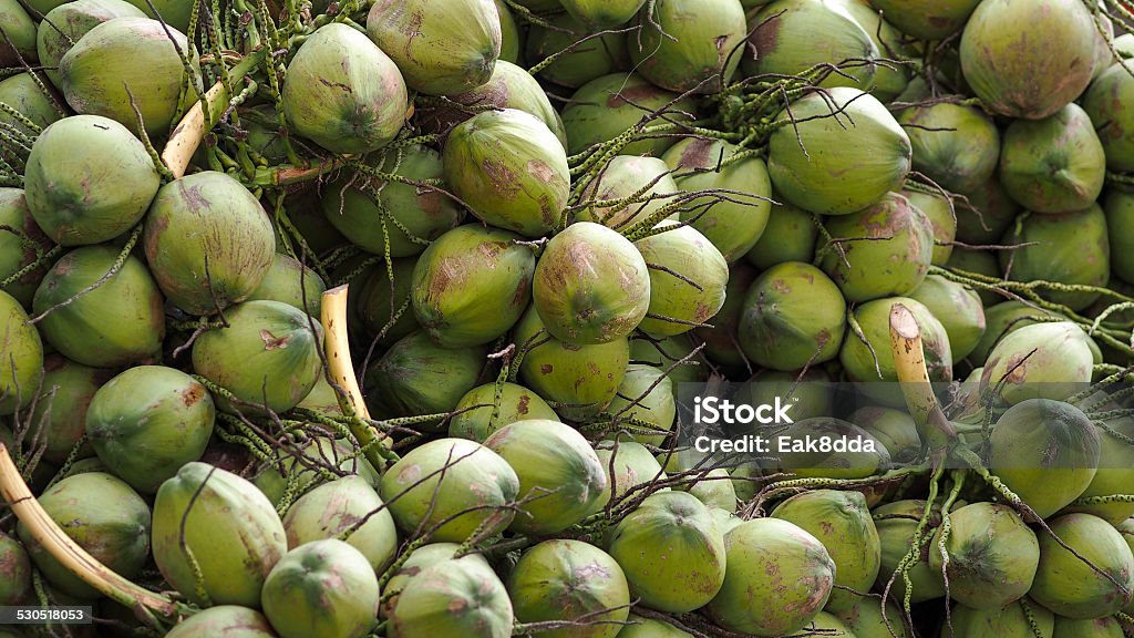 Coconut Closeup of young coconuts Branch - Plant Part Stock Photo