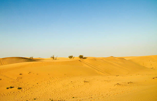 deserto del medio oriente - united arab emirates liwa desert saudi arabia arabia foto e immagini stock