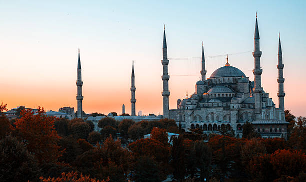 istock Blue Mosque and Hagia Sophia 530520893