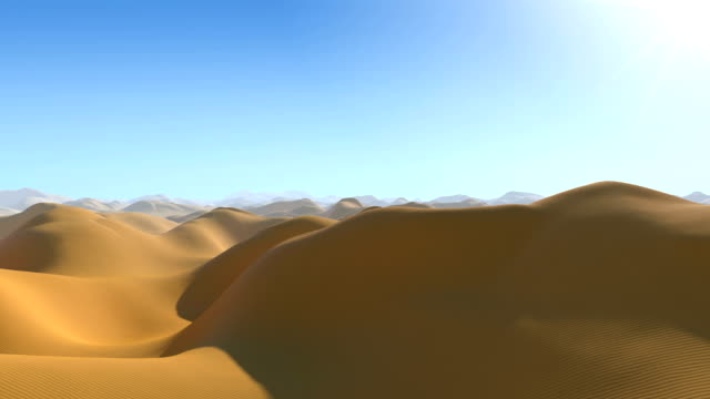 Oasis in the Desert