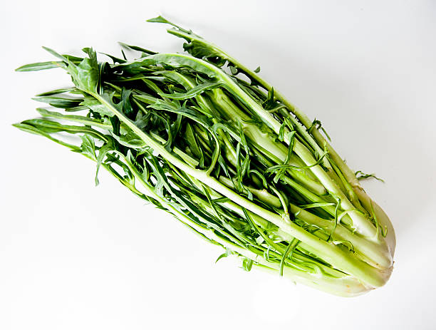 Puntarelle typical italian, roman, salad Head of puntarelle, typical green roman salad puntarelle stock pictures, royalty-free photos & images