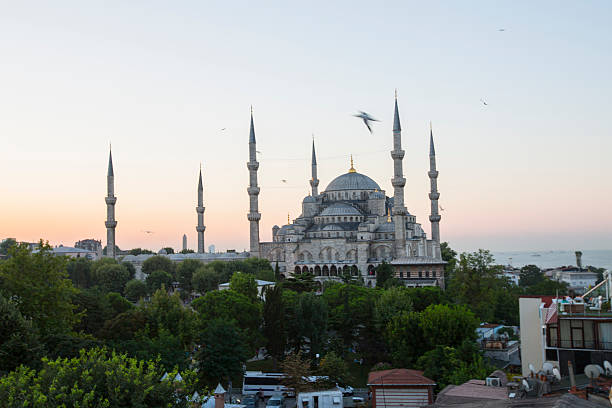 istock Blue Mosque and Hagia Sophia 530528723