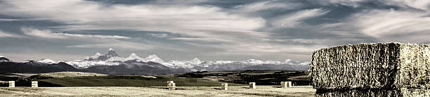 montana montanhas e agrícola - western usa mountain peak landscape farm imagens e fotografias de stock