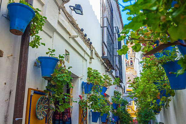 istock Streets decorated with flowers and barred windows typical 530529761