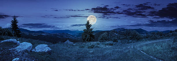 istock boulders on hillside meadow in mountain at night 530530019