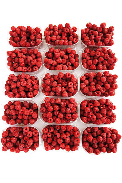 istock Raspberries in bowls, close-up 530532601