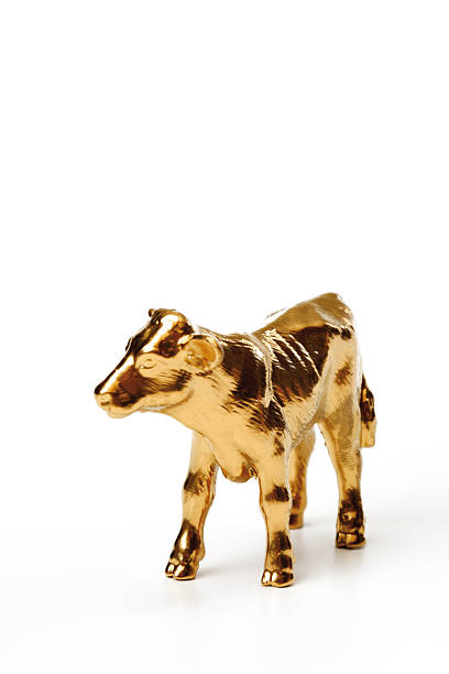 istock Golden calf, close-up 530533053