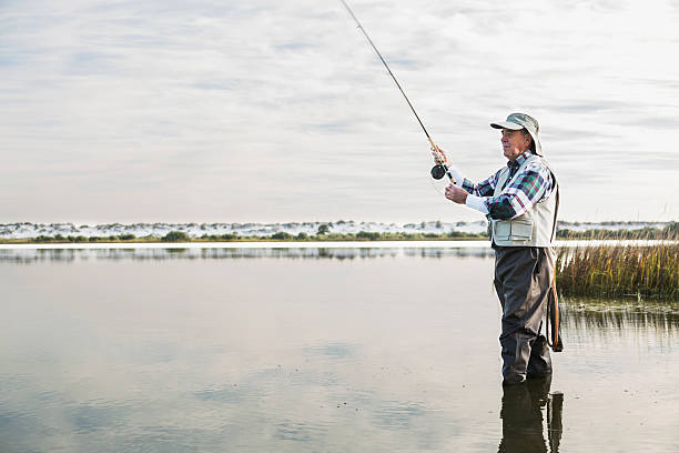 senior mann fliegenfischen - fly fishing fishing river fisherman stock-fotos und bilder