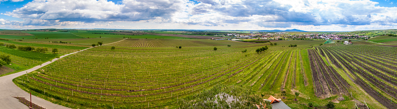 Countryside of southern Moravia, with vineyards, Czech Republic