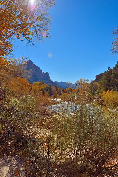 istock Virgin River in Late November - Fall Colors 530539301