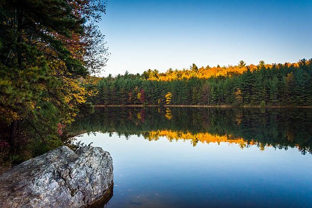 istock Autumn reflections in Long Pine Run Reservoir, in Michaux State 530541229