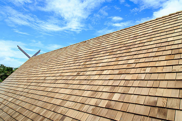 istock Wooden roof Shingle texture 530541869