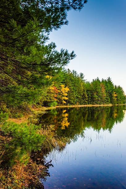 istock Autumn reflections in Long Pine Run Reservoir, in Michaux State 530542643