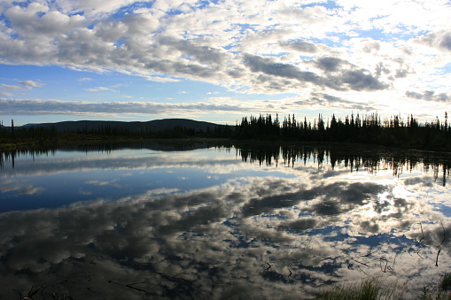 Trees and clouds and their reflections in a lake about a mile from the Alaska and Canada border.