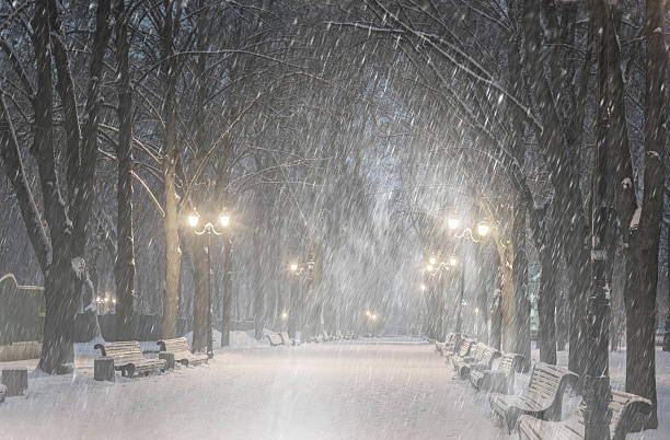istock Storm in Mariinsky Park 530543583