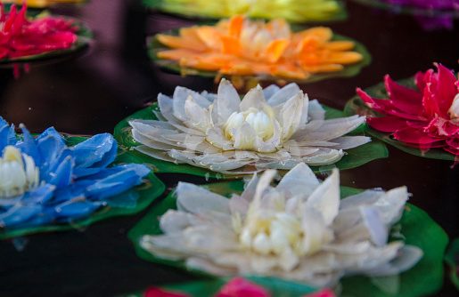 tibetan artificial Lotus Flower on the waterhttps://lh5.googleusercontent.com/-tpvJ64X4LmY/VMUQwuBJZOI/AAAAAAAABAA/4xrt9UufxvI/s380/banner_Tibet.png