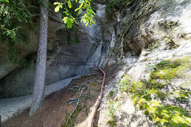 istock ancient sandstone cliffs in the Gaujas National Park, Latvia 530543791