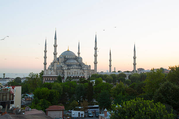istock Blue Mosque and Hagia Sophia 530546831