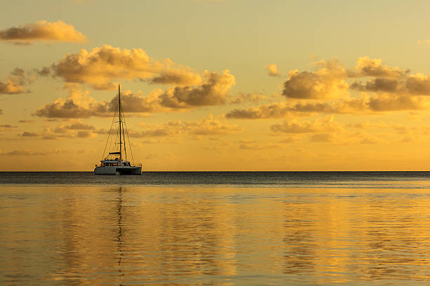 Sailing Boat at Golden Sunset in Rangiroa, French Polynesia A DSLR photo of a sailing boat anchored in Rangiroa, French Polynesia. The sea is calm and flat extending from the foreground until the horizon. The out of frame setting sun is casting a beautiful warm golden light over the scene. The sky is clear with some sparse white clouds. catamaran sailing stock pictures, royalty-free photos & images