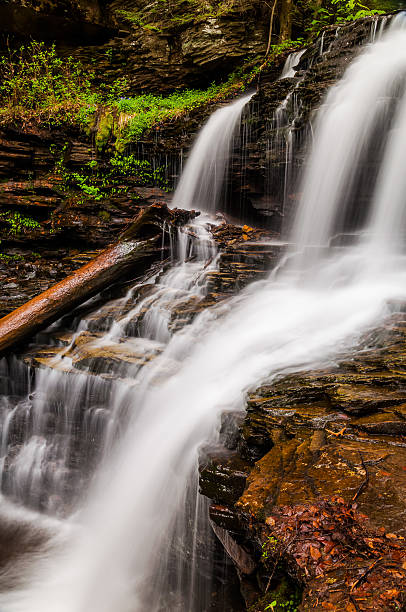 istock Shawnee Falls, at Ricketts Glen State Park, Pennsylvania. 530548427