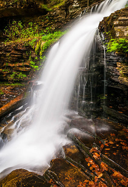istock Shawnee Falls, at Ricketts Glen State Park, Pennsylvania. 530548435