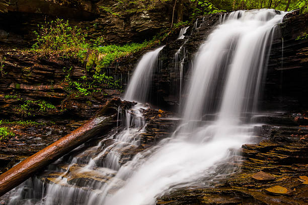 istock Shawnee Falls, at Ricketts Glen State Park, Pennsylvania. 530548437