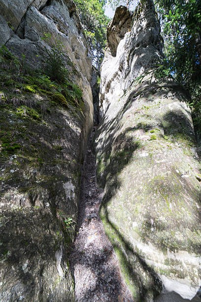 istock ancient sandstone cliffs in the Gaujas National Park, Latvia 530548913