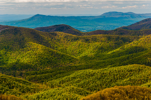Spring colors in the Appalachian Mountains, seen from Blackrock Summit in Shenandoah National Park, Virginia.