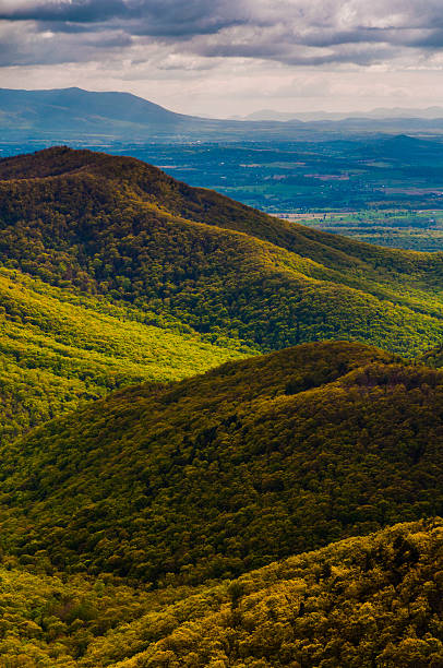 colori della primavera nel appalachians, visto da blackrock vertice di - blue ridge mountains appalachian mountains appalachian trail skyline drive foto e immagini stock