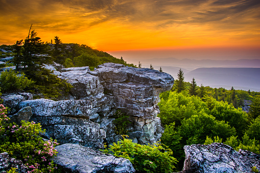 Sunrise at Bear Rocks Preserve, in Dolly  Sods Wilderness, Monongahela National Forest, West Virginia.