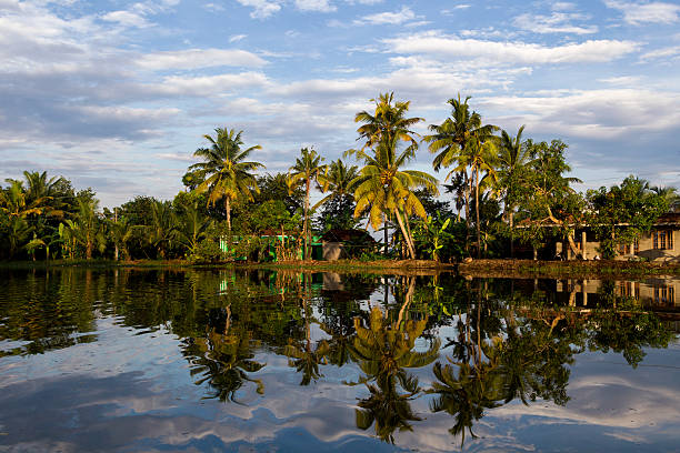 istock Landscape of Kerala 530551521