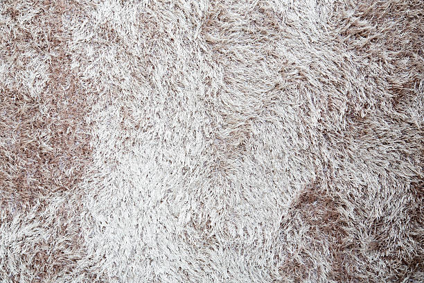 istock Brown an white fur carpet background 530553081