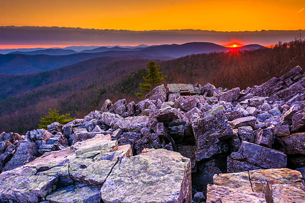 istock Sunrise over the Blue Ridge Mountains from Blackrock Summit, She 530553791