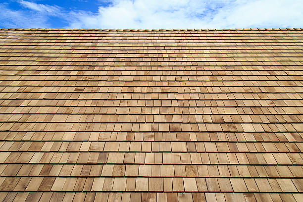 tablilla de textura de madera en el último piso - cedro del atlas fotografías e imágenes de stock