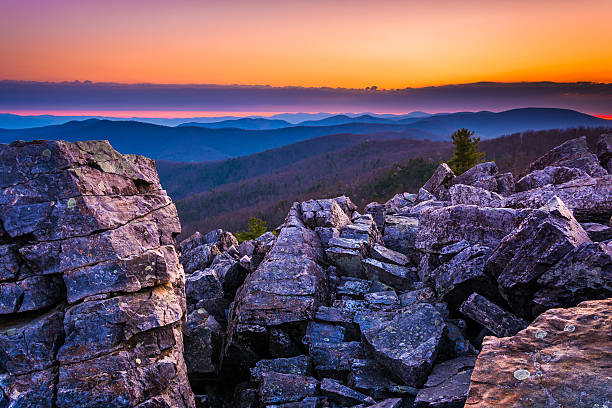 istock Sunrise over the Blue Ridge Mountains from Blackrock Summit, She 530554253