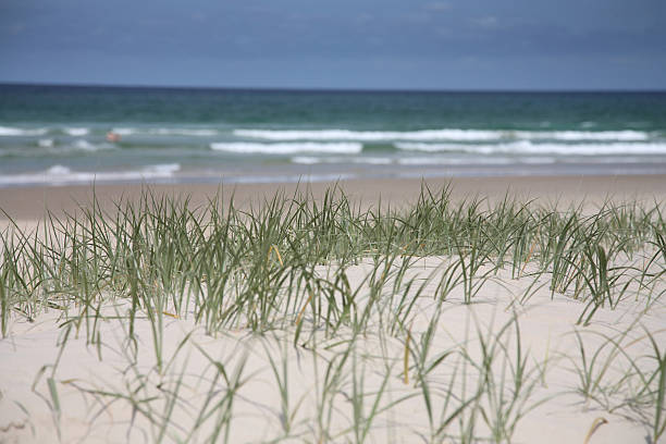 istock Burleigh Heads Beach - Gold Coast 530558147